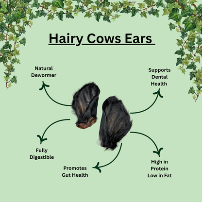 Hairy Cow Ears