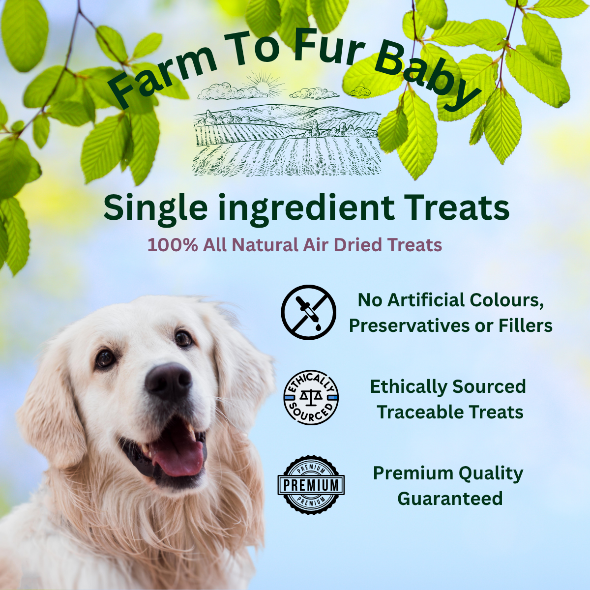 Natural Rabbit Feet – Hairy Chew for Dogs
