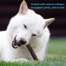 Beef Collagen Sticks – Natural Beef Gullet