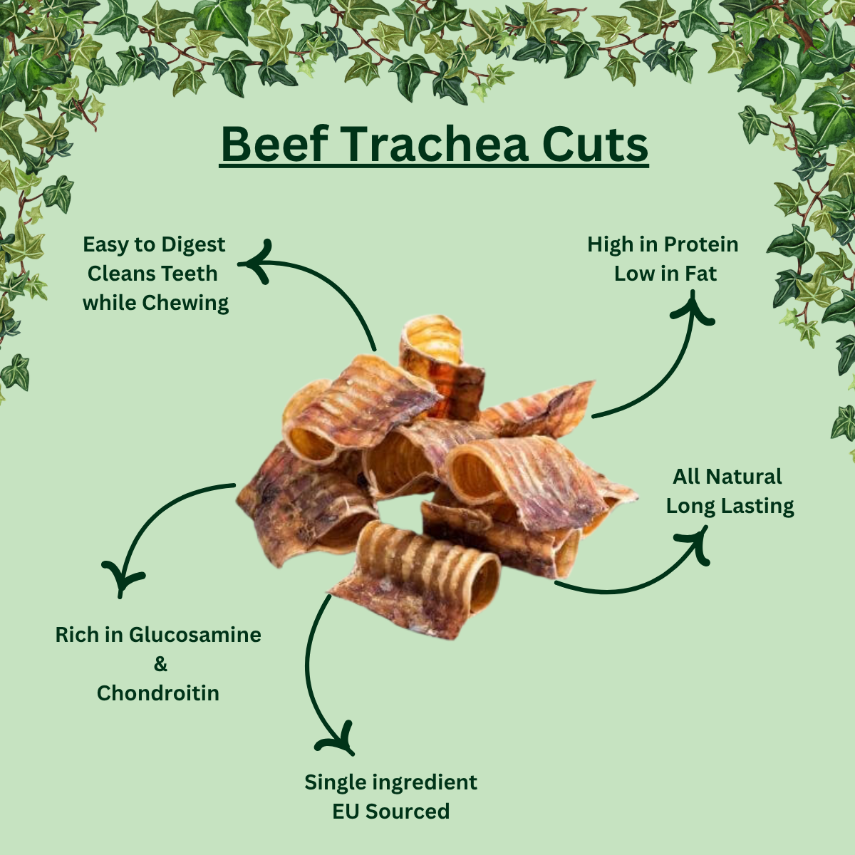 Beef Trachea Cuts – Natural Joint-Support Chews for Dogs