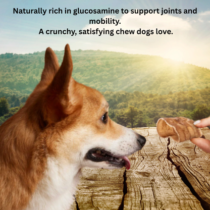 Beef Trachea Cuts – Natural Joint-Support Chews for Dogs