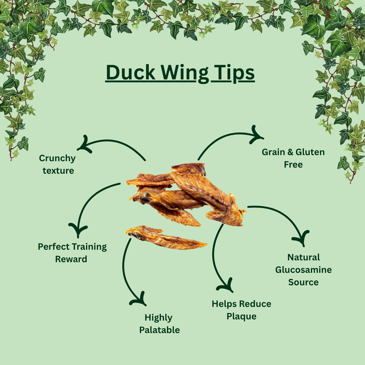 Natural Chicken Wing Tips for Dogs