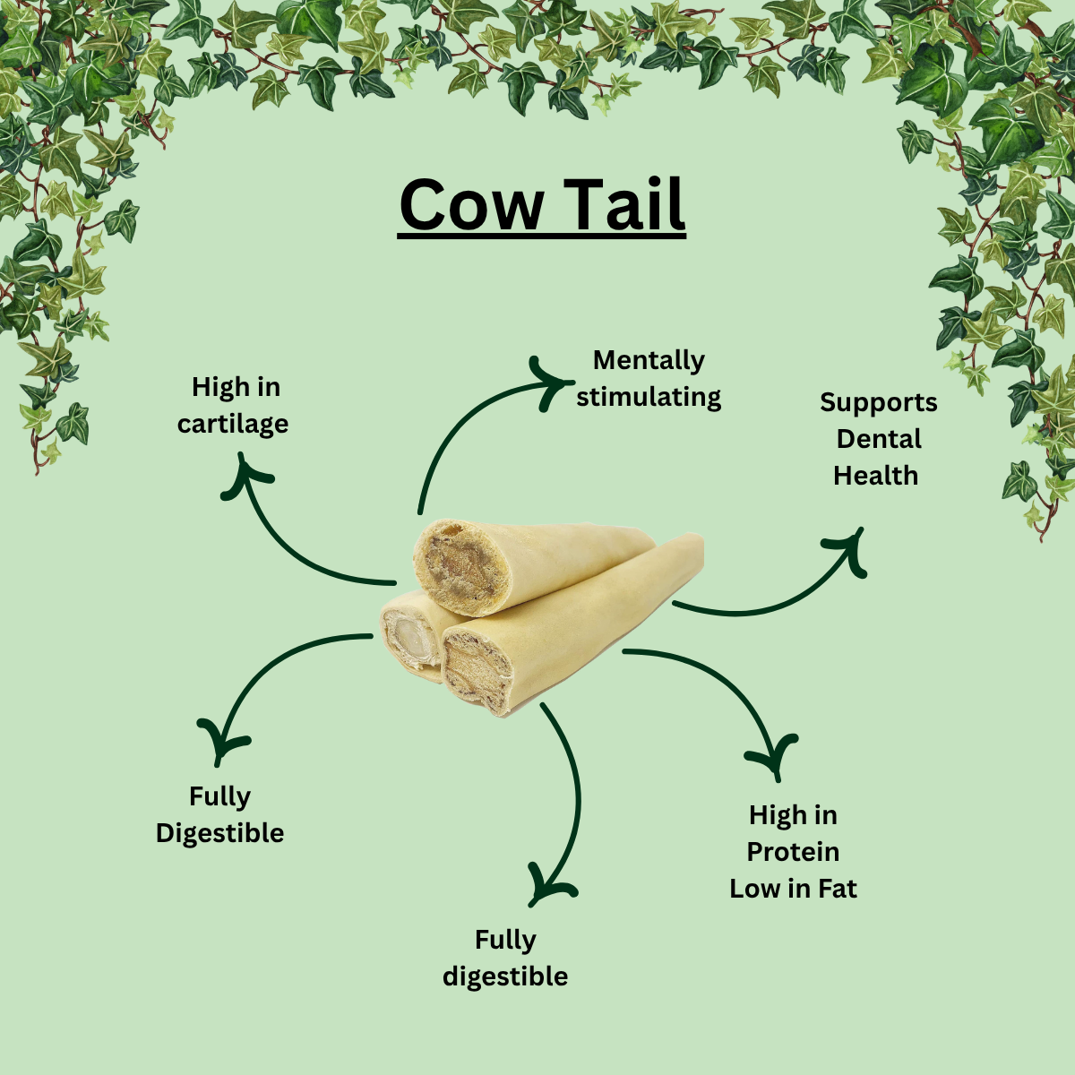 Natural 6 inch Cow Tail – Long-Lasting Beef Chew for Dogs