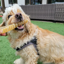 12cm Beef Trachea Natural Air-Dried Dog Chew