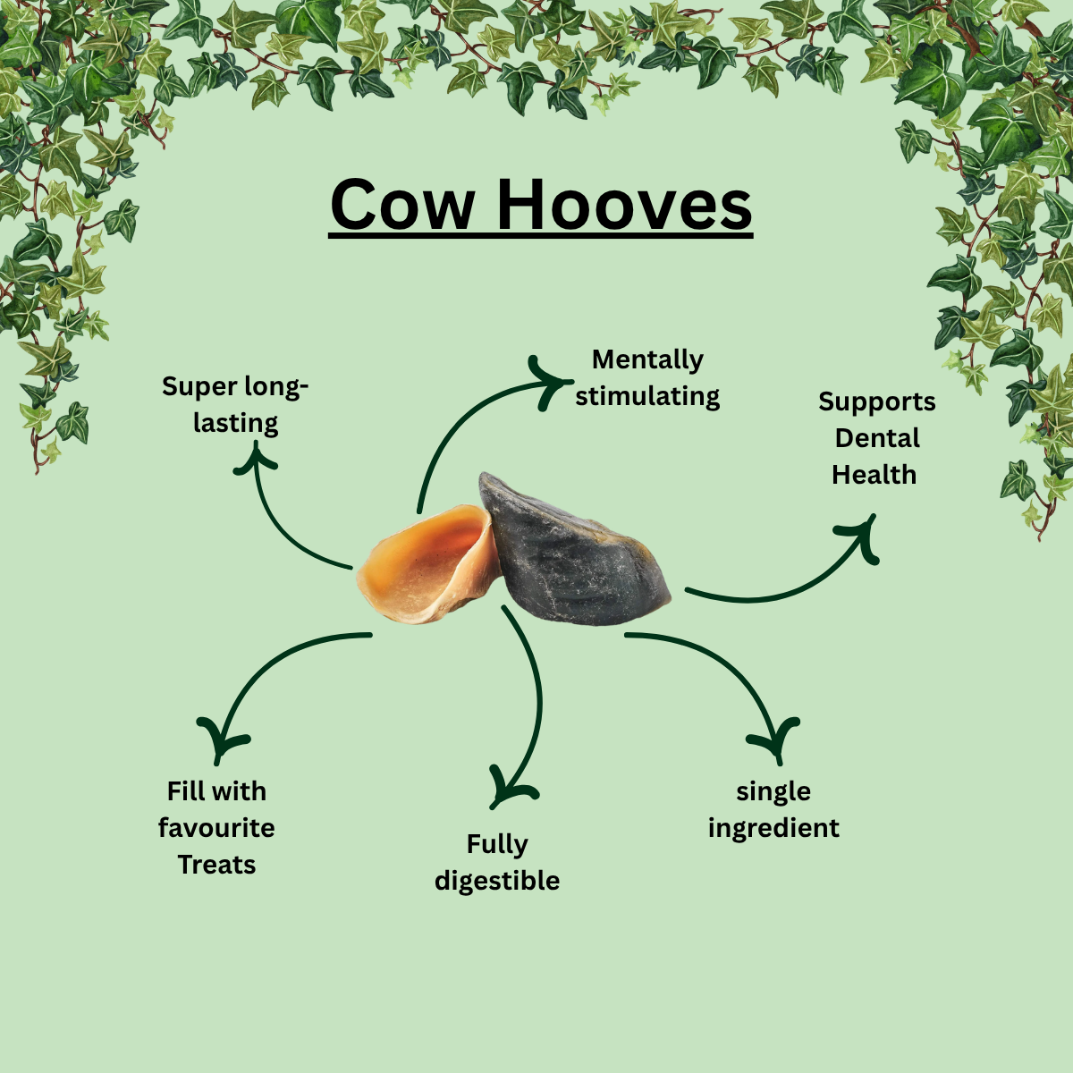 Natural Beef Hooves – Long-Lasting Chews for Strong Dogs