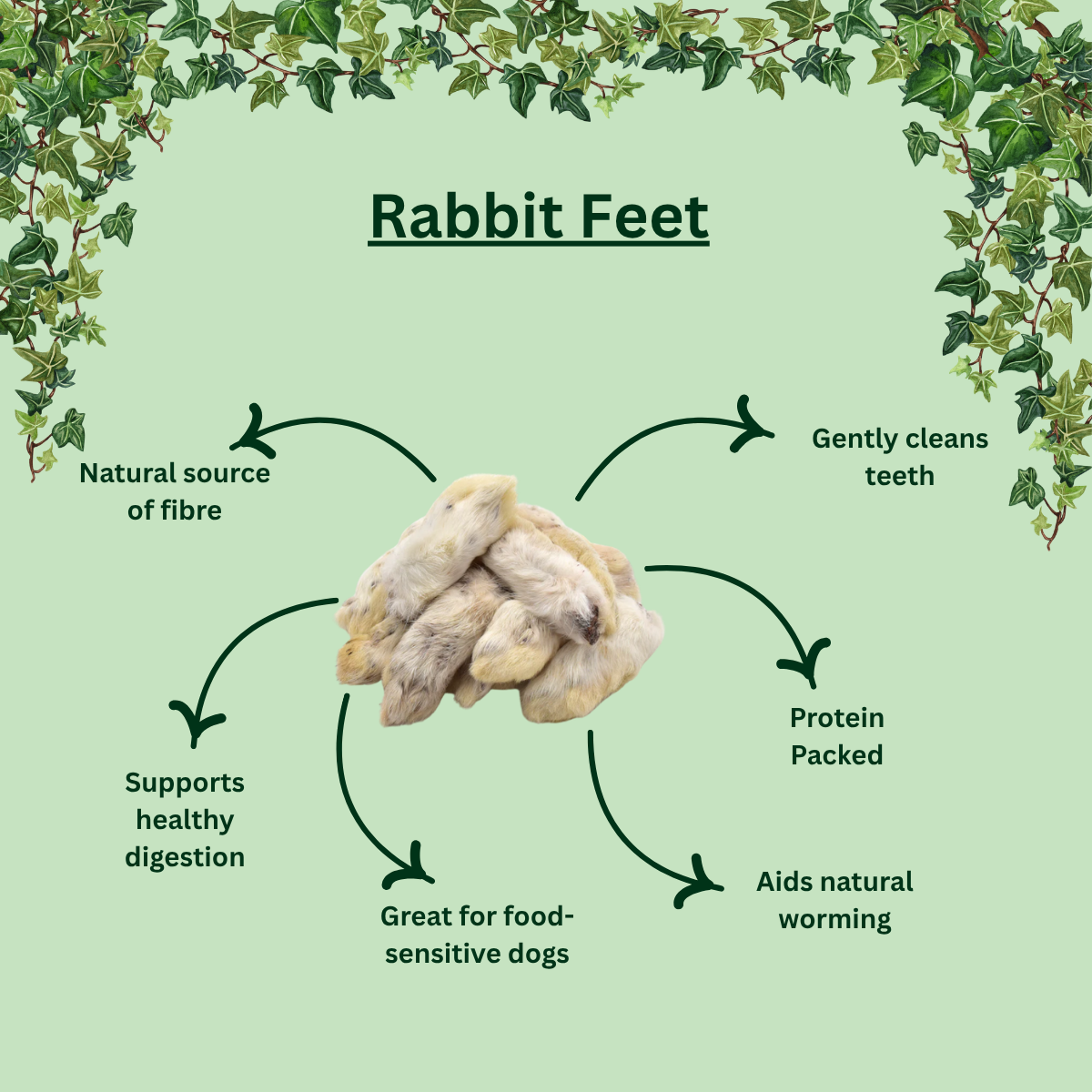 Natural Rabbit Feet – Hairy Chew for Dogs
