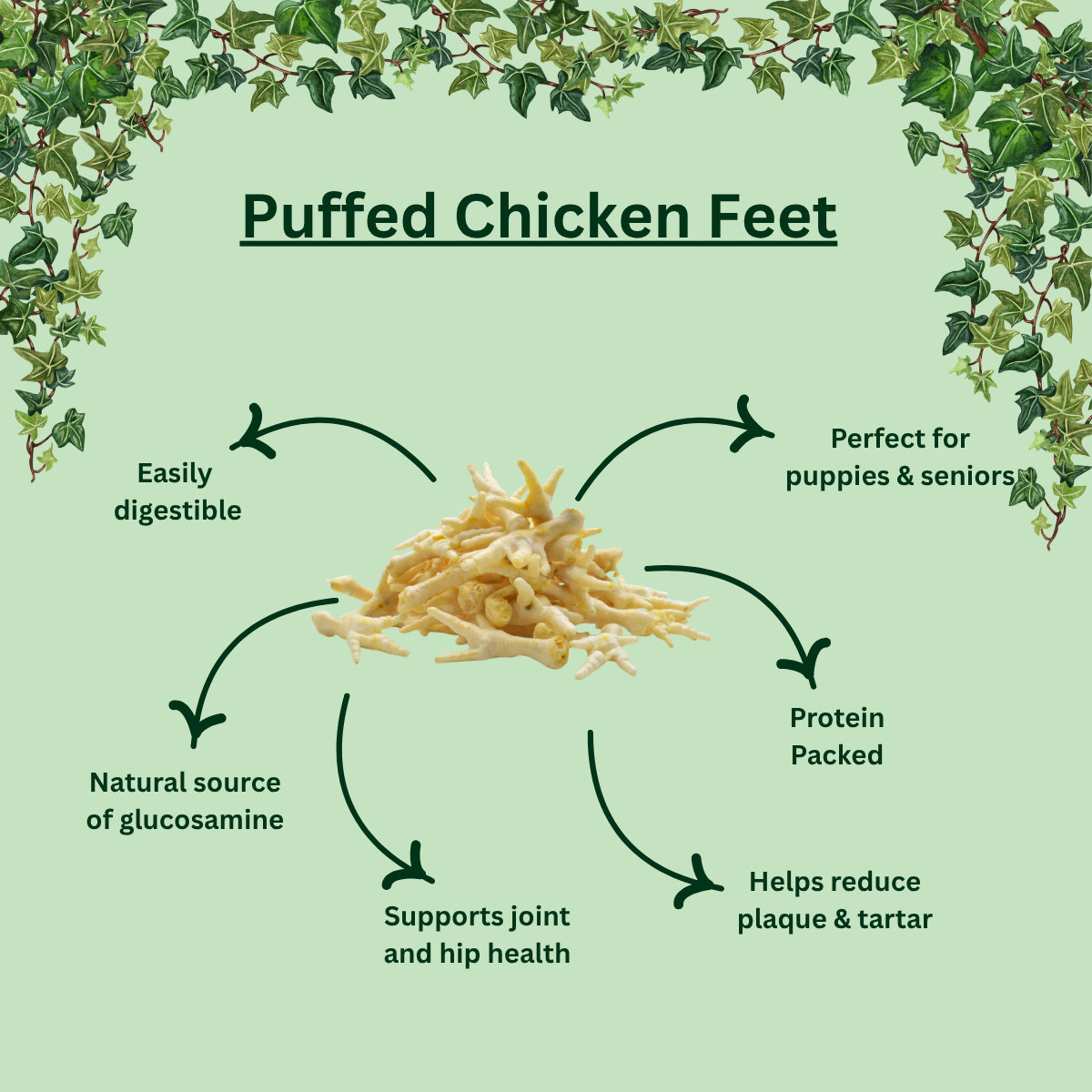 Puffed Chicken Feet – Light & Crunchy Natural Dog Treat