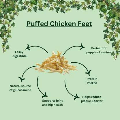 Puffed Chicken Feet – Light & Crunchy Natural Dog Treat
