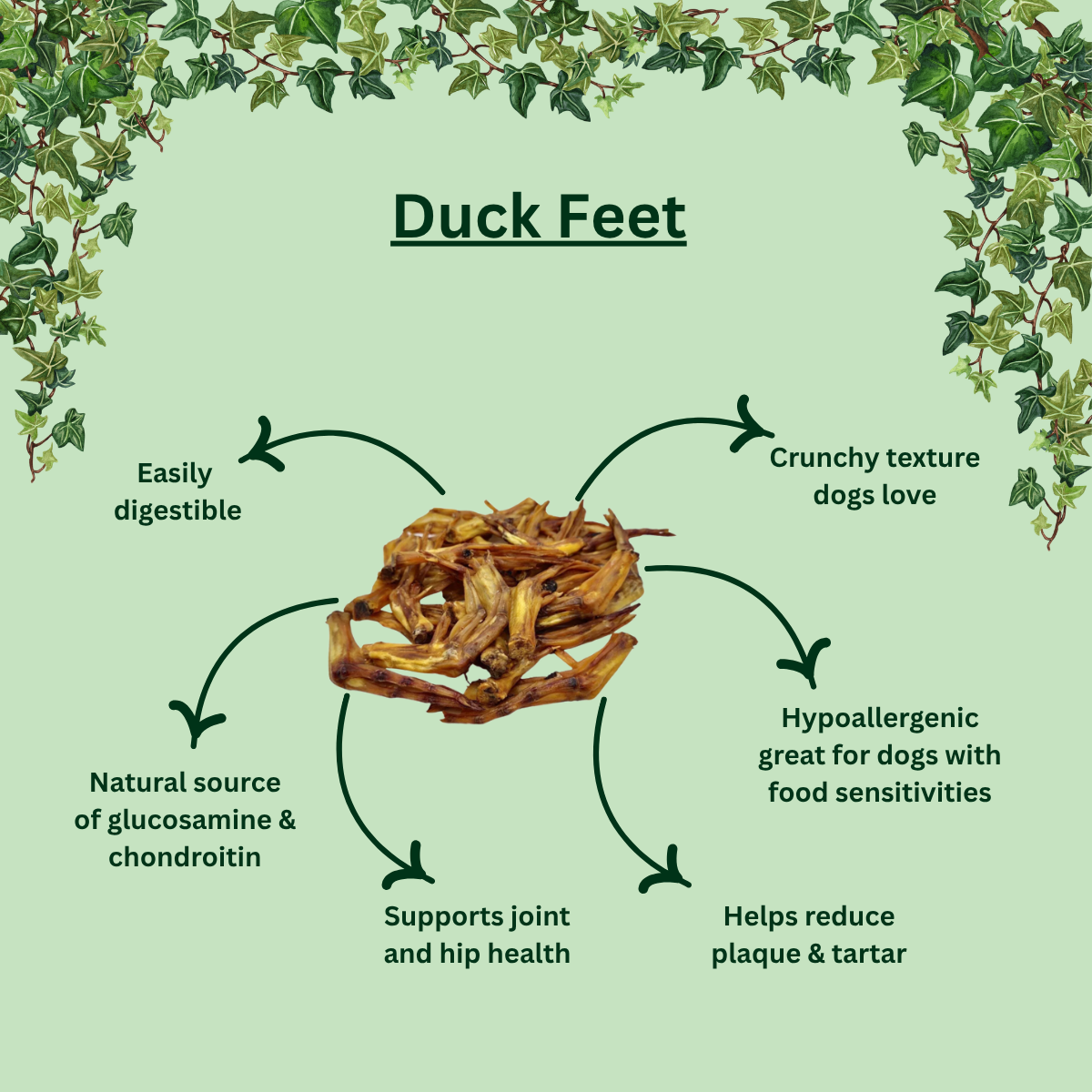 Natural Duck Feet – Crunchy, Air-Dried Dog Chew