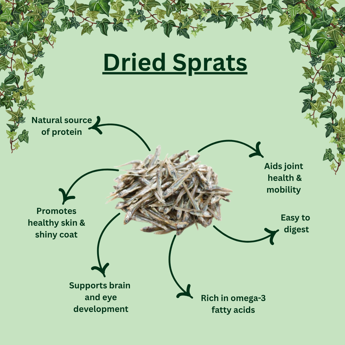 Whole Air-Dried Sprats – Natural Fish Treat for Dogs