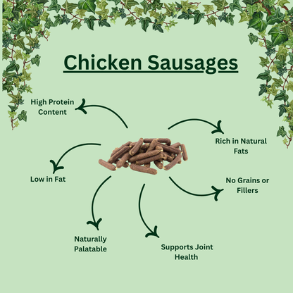 Natural Air-Dried Chicken Sausages for Dogs