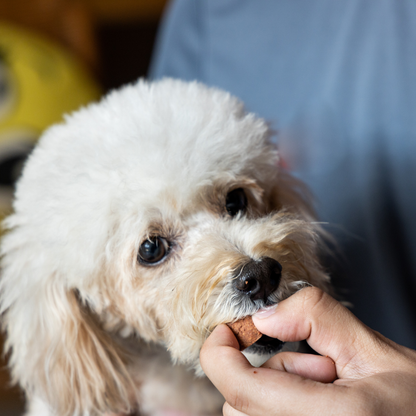 Natural Chicken Training Treats for Dogs