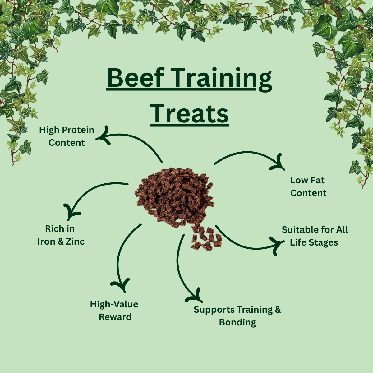 Natural Beef Training Treats for Dogs