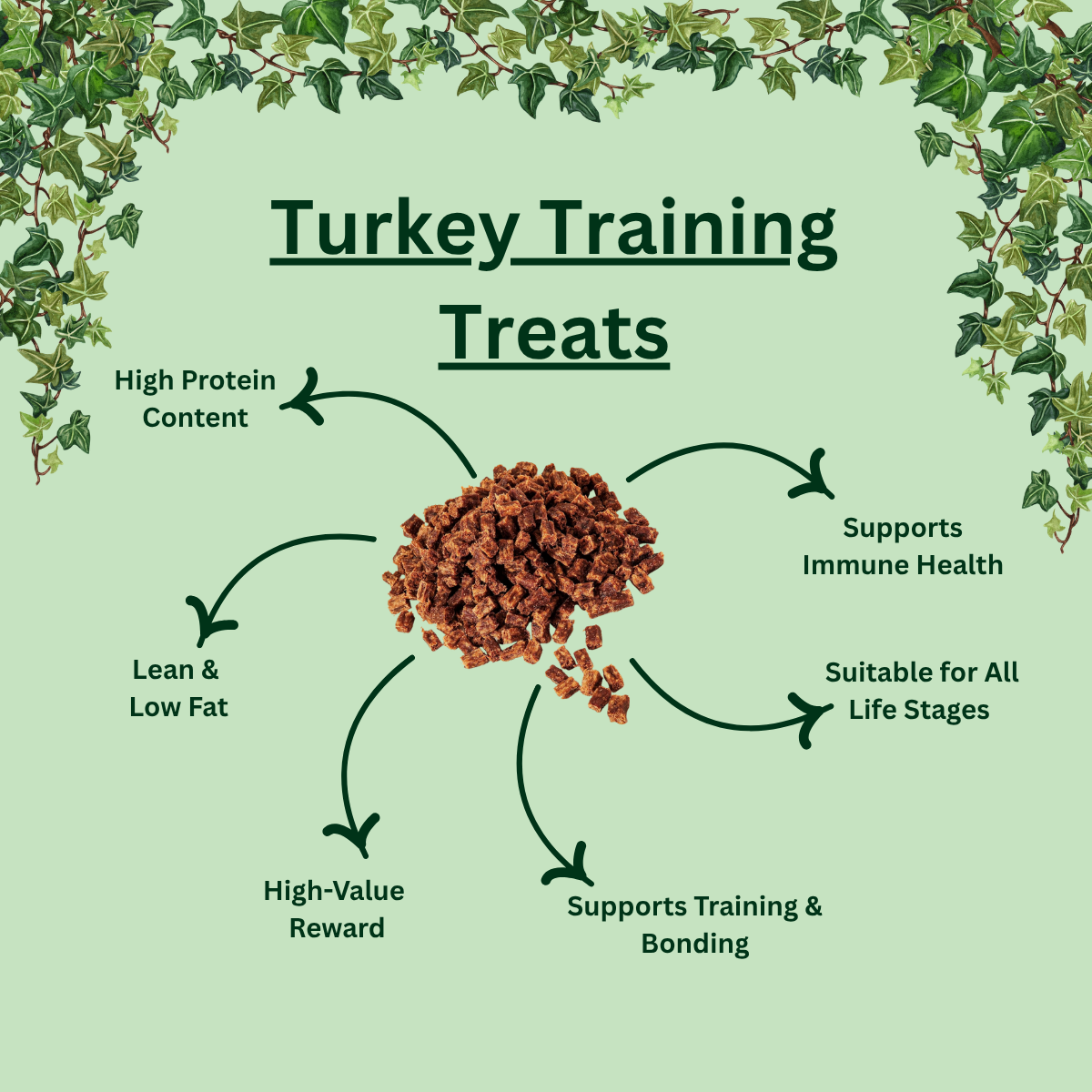 Natural Turkey Training Treats for Dogs
