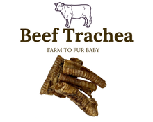 12cm Beef Trachea Natural Air-Dried Dog Chew