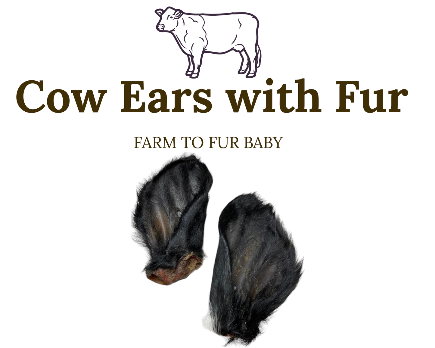 Cow Ears with Fur