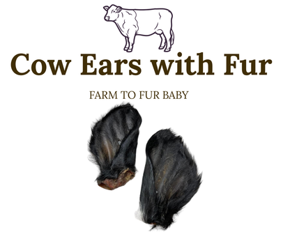 Cow Ears with Fur