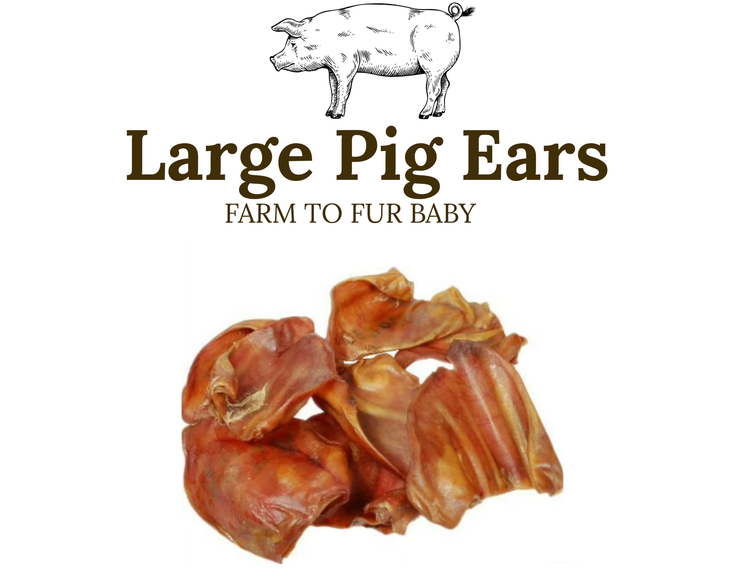 My Fur Baby XL Pig Ears