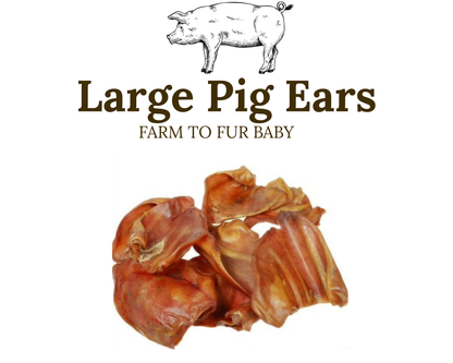 My Fur Baby XL Pig Ears