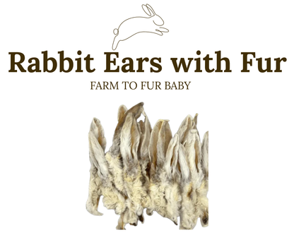 Hairy Rabbit Ears