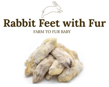 Natural Rabbit Feet – Hairy Chew for Dogs
