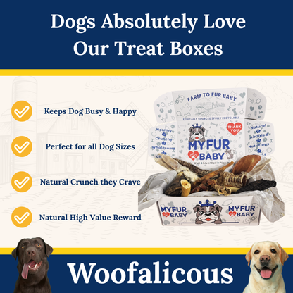My Fur Baby Heritage Treat Box