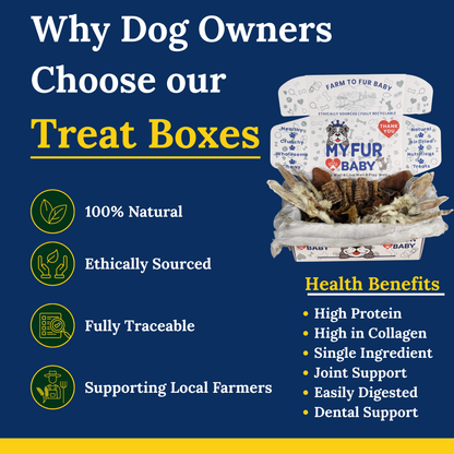 My Fur Baby Farmhouse Mix