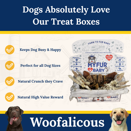 My Fur Baby Farmhouse Mix