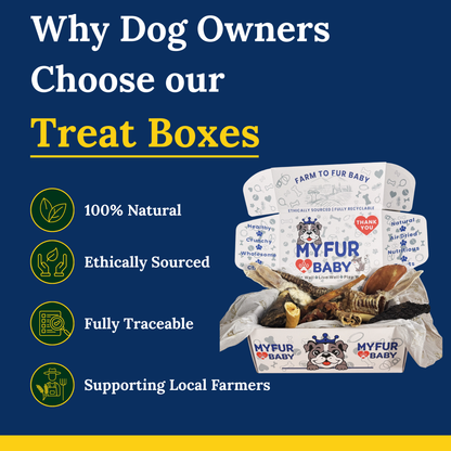 My Fur Baby Heritage Treat Box