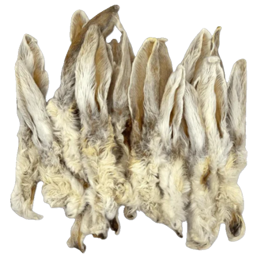 Hairy Rabbit Ears