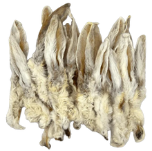 Hairy Rabbit Ears