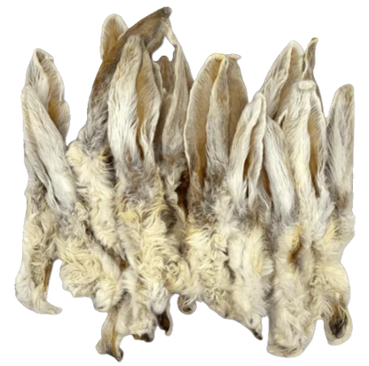 Hairy Rabbit Ears