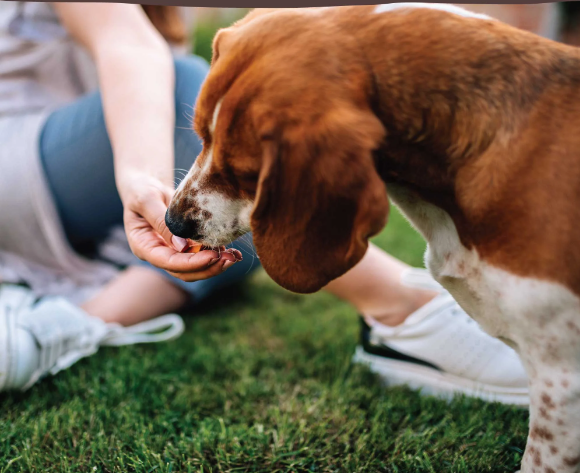 Natural Chicken Wing Tips for Dogs