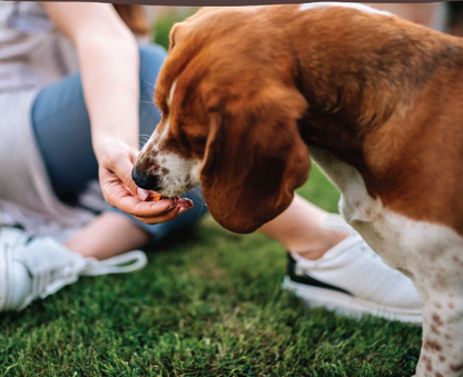Natural Chicken Wing Tips for Dogs