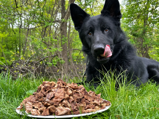 Air-Dried Beef Lung Dog Treats