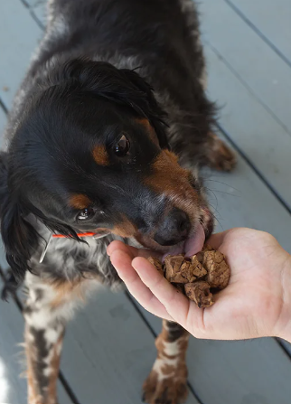 Air-Dried Beef Lung Dog Treats