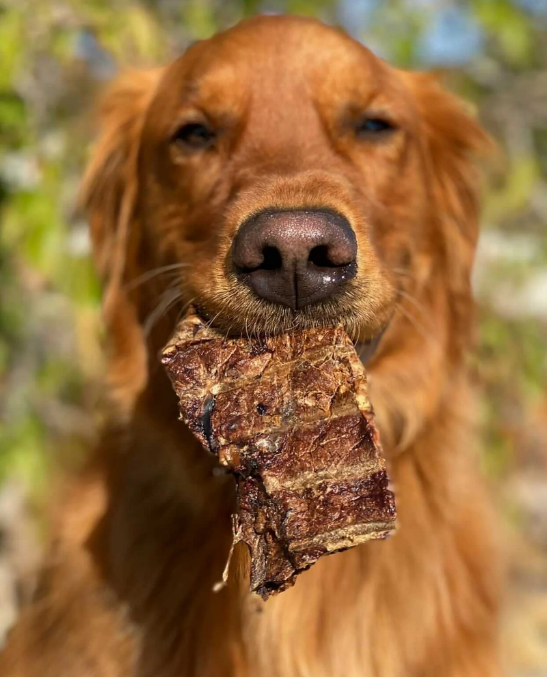Air-Dried Beef Lung Dog Treats
