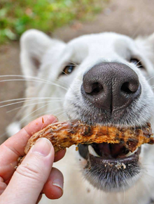 Air-Dried Chicken Necks – Natural Crunchy Chews for Dogs