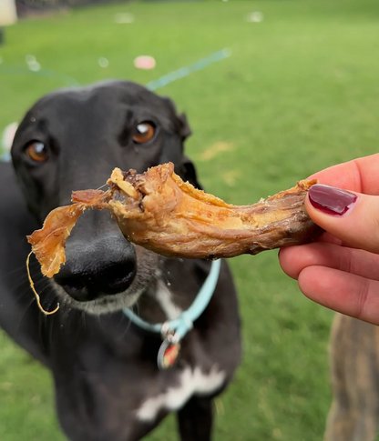 Air-Dried Chicken Necks – Natural Crunchy Chews for Dogs