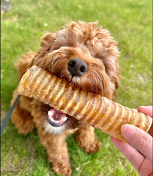 Beef Trachea Cuts – Natural Joint-Support Chews for Dogs