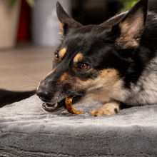 Porky Bites – Natural Inner Pig Ear Chews for Dogs