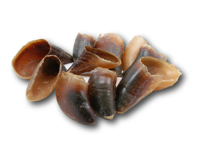 Natural Beef Hooves – Long-Lasting Chews for Strong Dogs
