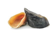 Natural Beef Hooves – Long-Lasting Chews for Strong Dogs