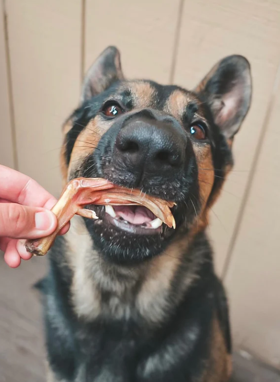 Natural Duck Feet – Crunchy, Air-Dried Dog Chew