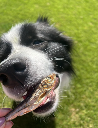 Whole Air-Dried Sprats – Natural Fish Treat for Dogs