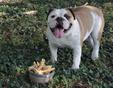 Air-Dried Chicken Feet – Natural Crunchy Chews for Dogs