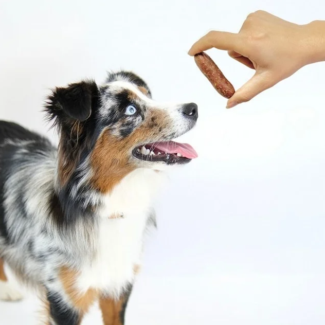 Natural Air-Dried Venison Sausages for Dogs