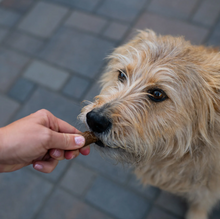 Natural Air-Dried Beef Sausages for Dogs