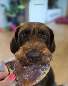 Natural Beef Cartilage (Moon Bone) for Dogs
