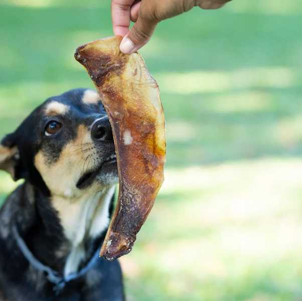 Natural Beef Cartilage (Moon Bone) for Dogs